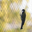 Garden Black Anti Bird Net Fruit Tree Protecting Mesh Poultry Aviary Pond Net