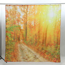 71''x71'' Autumn Deciduous Forest Waterproof Polyester Shower Curtains With Hooks