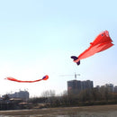 Outdoor Sports Entertainment 3D Huge Parafoil Giant Dolphin Kite with 2.6m Tail