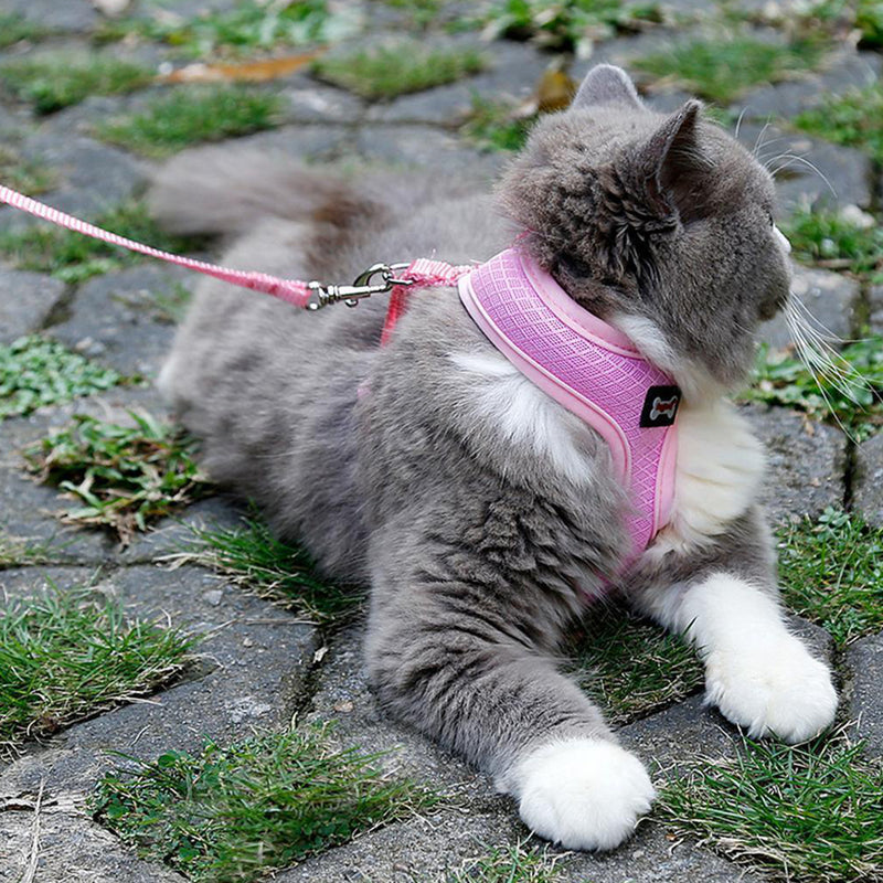 Adjustable Pet Lead Leash Cat Dog Harness And Soft Mesh Walking Harness Vest Apparel