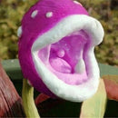 Insect Capture Plant Succulent Enchantress Plant Carnivore Office Pot Bonsai Seeds Slurperon Seeds
