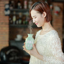 Ultrasonic Vase Cool Mist Maker Humidifier Night Light Air Purifying Nebulizer for Bedroom Baby Birthday Gift