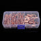 60pcs Copper Ring Lug Terminal With Box Cable Lugs Crimp Terminals Wire Connector Terminal