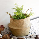 Garden Flower Pot Seagrass Belly Basket Storage Plant Pot Foldable Seeding Nursery Decoration Bag