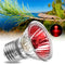 AC220V E27 25W Amphibian Bird Snake Heat Reptile Bulb Light Red Heating Lamp