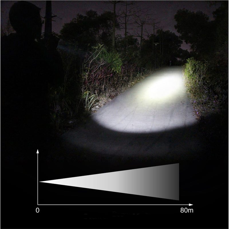 Nicron B75 XP-G2 S2 300LM Magnetic Tail 90 Adjustable Head USB LED Flashlight & Fluorescence Detection Pen