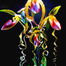 Egrow 20pcs/Bag Sementes Orchid Seeds Rare Flower Orchid Seeds For Home Garden Plants