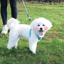 Dog Cat Leashes Pet Traction Rope Collar Durable Rock Climbing Material Pet Supplies