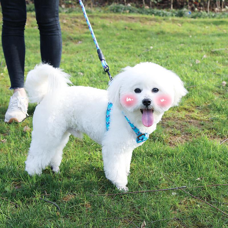 Dog Cat Leashes Pet Traction Rope Collar Durable Rock Climbing Material Pet Supplies