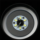 Modern Jar Cup Bulb Sphere Style Glass Plant Ceiling Pendant Light Hanging Lamp For Indoor Decor