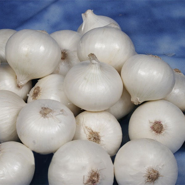 Egrow 200 Pcs/Pack White Onion Seeds Kitchen Seasoner Organic Vegetable Seed Garden DIY Plants