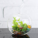 Crystal Glass Flower Vase Terrarium Container Micro Landscape Glass Bottles Decor