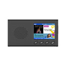 Protable DAB/DAB+ FM Radio User Guide Headphone Output Bluetooth Player Stereo