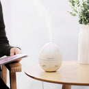 iMars Mini USB Office Dormitory Household Night Light Warm Eggshell Humidifier