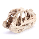 Resin Ceratosaurus Dinosaur Skull Fossil Model Collectible Craft Gift Decorations