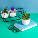 Ceramic Succulent Plant Flower Pot Bonsai Holder Home Tabletop Garden Decor With Stand