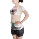 JORZILANO Posture Corrector Back Waist Correct Support Brace Belt
