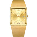 WWOOR 8831 Square Dial Luminous Display Men Wrist Watch Mesh Steel Calendar Quartz Watch