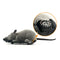 Creative Pet Toys Electronic Remote Control Mouse Pet Cat Dog Toy Lifelike Funny Flocking Rat Toy