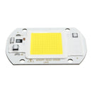 20W 1800LM Warm/White DIY COB LED Chip Bulb Bead 60x40mm For Flood Light AC110/220V