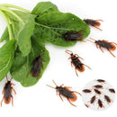 20pcs Prank Funny Trick Joke Toys Special Lifelike Model Simulation Fake Rubber Cockroach Cock Roach