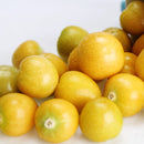 Egrow 20Pcs/pack Physalis Seeds Garden Fruit Flower Latern Golden Berry Tree Seeds