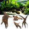 Driftwood Root log Stump cuckoo root Aquarium Decoration