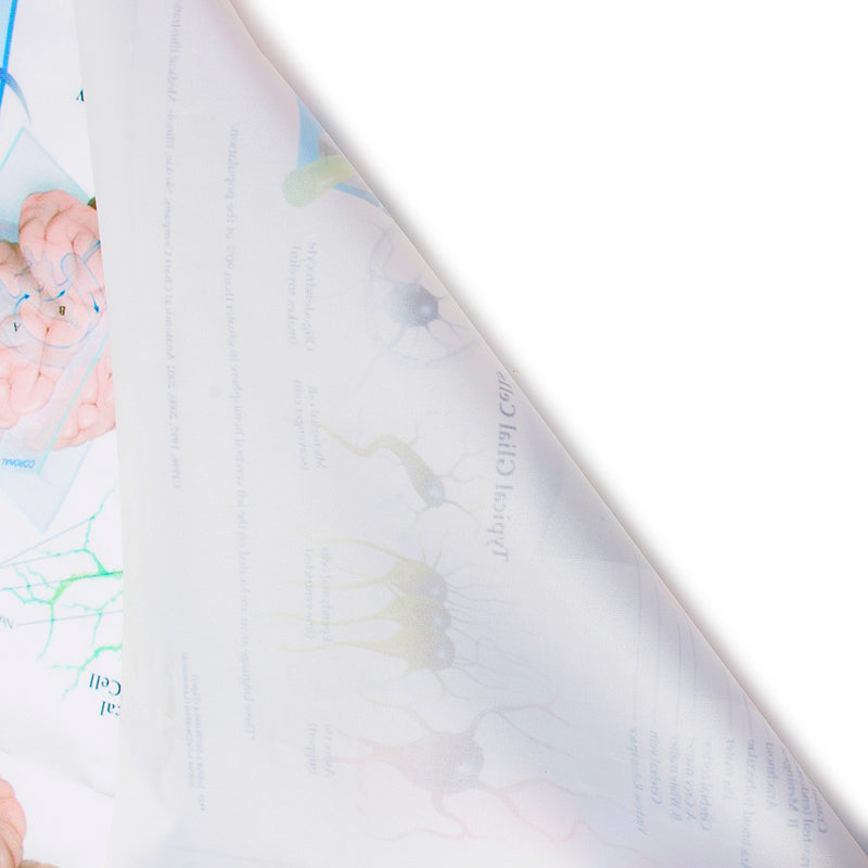 60x80cm Anatomy Of The Brain Poster Anatomical Silk Cloth Chart Human Body Midcal Educational Decor