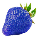 500PCS Blue Strawberry Seeds Heirloom Super Strawberry Garden Seeds Garden Climbing Plant