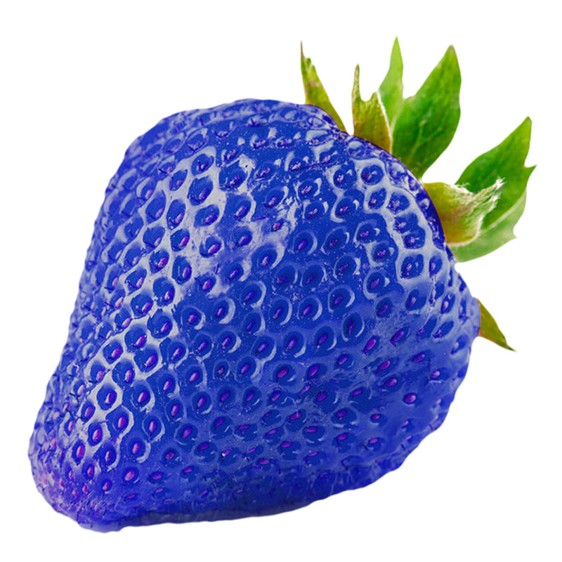 500PCS Blue Strawberry Seeds Heirloom Super Strawberry Garden Seeds Garden Climbing Plant