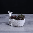 Rabbit Basket Shape Pot Succulent Planter Herb Flower Gardening Box Case Decor