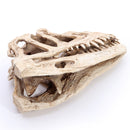 Resin Ceratosaurus Dinosaur Skull Fossil Model Collectible Craft Gift Decorations
