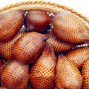 Egrow 100 Pcs/Pack Gandaria Seeds Snake Fruit Bonsai Healthy And Delicious Fruit Plant Rare Garden Semi Frutta Semente