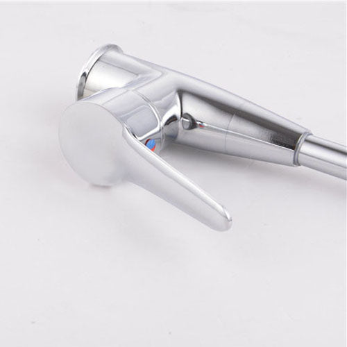 Red-crowned Crane Single Hole Hot and Cold High Curved Basin Kitchen Faucet