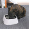 1.5L Pet Floating Water Bowl Dog Cat Anti-splashing No Wet Mouth Waterer Pet Bowl