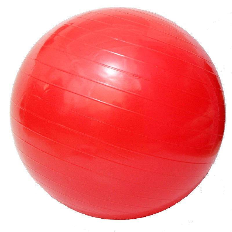 55CM Sports Fitness Yoga Pilates Balance Ball For Weight Loss Slimming Exercise Training