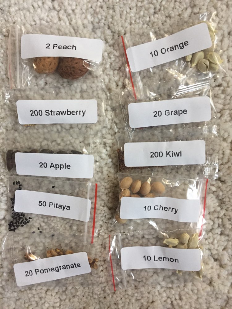 Egrow 10 Varieties Mixed Fruit Seeds Organic Fruit Tree Seeds Sweet Candied Fruit Non-gmo Plant Seed