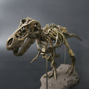 Jurassic Dinosaurs Tyrannosaurus Rex Skeleton Trex Animal Model Kids Toys Gift