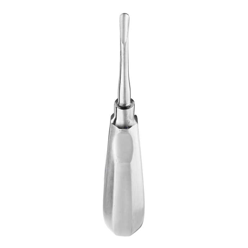 10Pcs Stainless Steel Dental Root Elevator Autoclavable for Dentist Tooth Extraction Dentel Tools kit