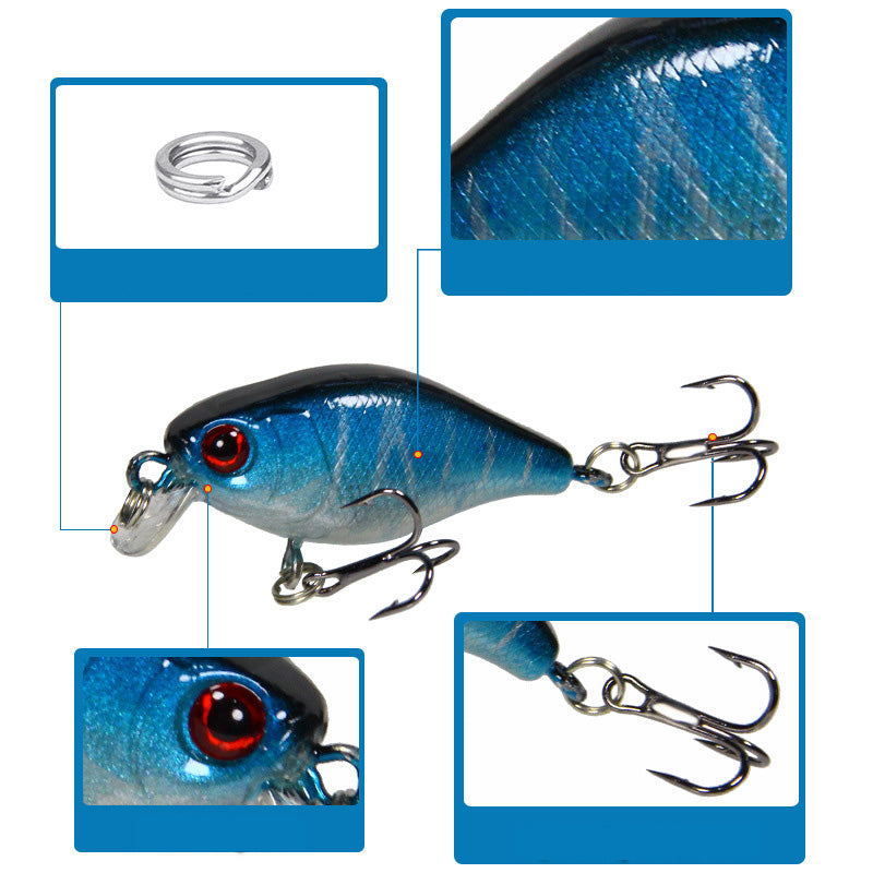 ZANLURE 5 Pcs/Set 6cm Hard Bait Spinning Jigging Fishing Lure