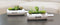 Multi - Meat Simulation Plant Simulation Potted Plastic Simulation Plant Floral