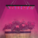 Garden Flowering Grow Light 40W LED Plants Anti-fog Growing Lamp with Red Blue UV & IR Spectrum