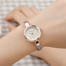 LVPAI K6115 Small Dial Cute Style Women Wrist Watch Mesh Steel Quartz Watches