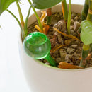 Automatic Watering Bulbs Self Water Plastic Plant Planter Feeder System Ball Indoor Outdoor