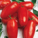 200 PCS Long Tomato Bullet Shape Tomato Plant Natural Growth Balcony And Yard Bonsai Plant Seeds