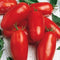 200 PCS Long Tomato Bullet Shape Tomato Plant Natural Growth Balcony And Yard Bonsai Plant Seeds