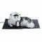 Waterproof Pet Reptile Electric Heating Heated Dog Cat Pads Mat Thermal Warmer