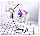 Creative Hanging Holder Crystal Terrarium Container Vase With Glass Ball Vase Pot Iron Stand Holder Decorations
