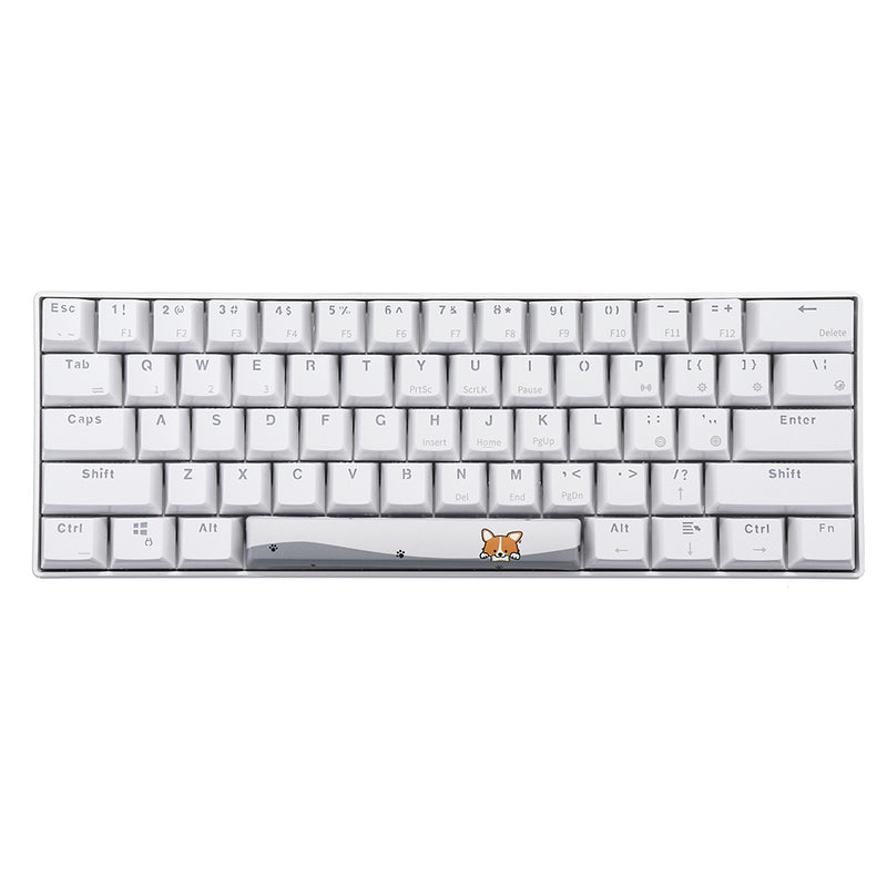 Five-sided Dyesub OEM Profile PBT Calico Space Bar 6.25u Novelty Keycap for GK61 Black Case and Cherry MX Switch Keyboard