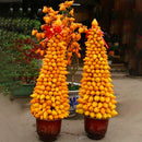 Egrow 10Pcs/Bag Gold Berry Bonsai Seeds Abiu Flores Caimito Garden Potted Plantas Vegetable Plant The Budding Rate 90%